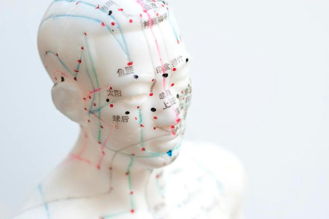 HUMAN BODY MERIDIANS KIT & THE 'NEURAL HYPOTHESIS'