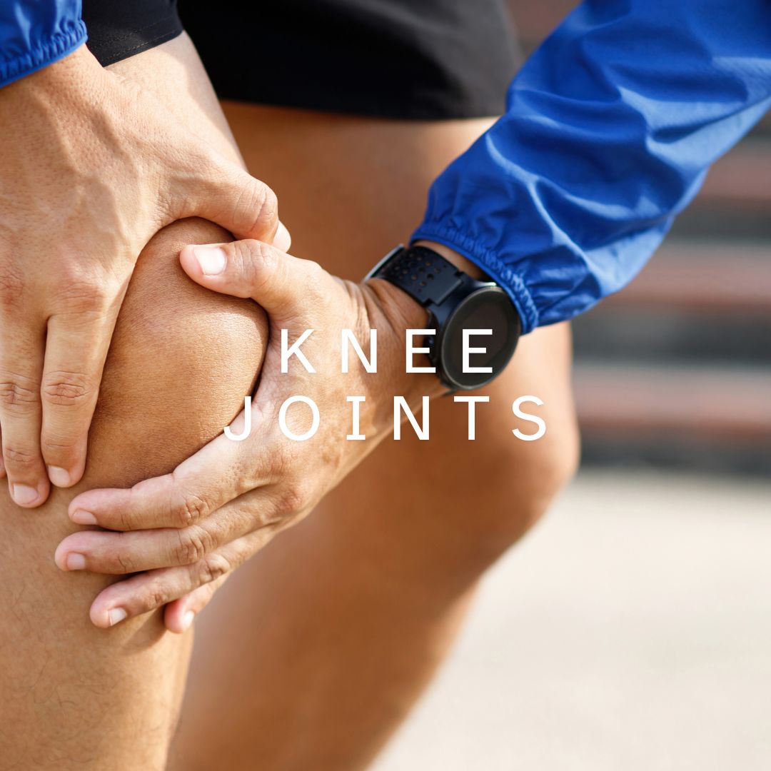 KNEE JOINTS (KNE)