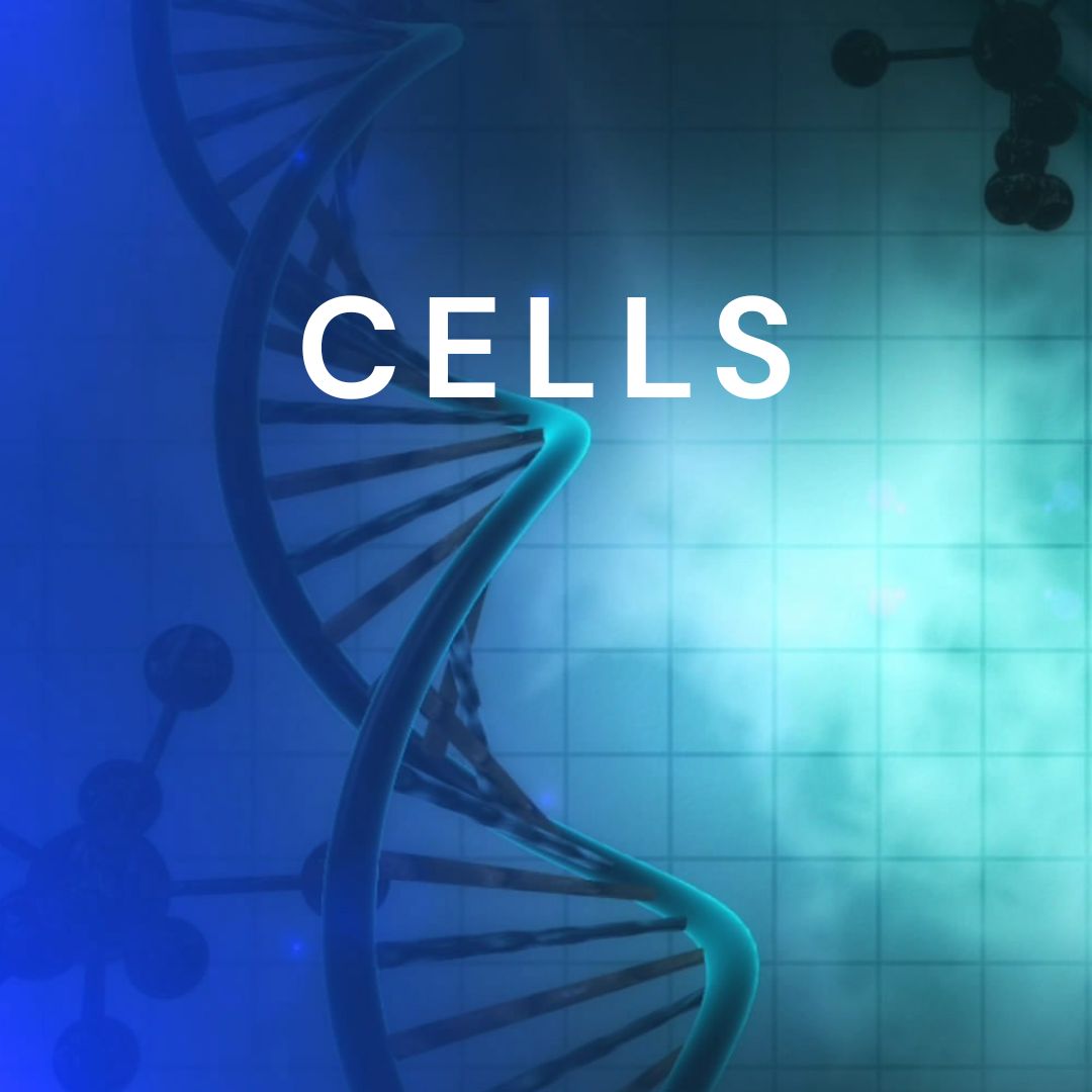 HUMAN CELL LONGEVITY (CLO)