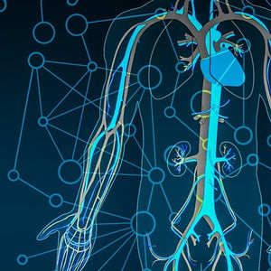 CIRCULATORY SYSTEM SARCODES (CSS)