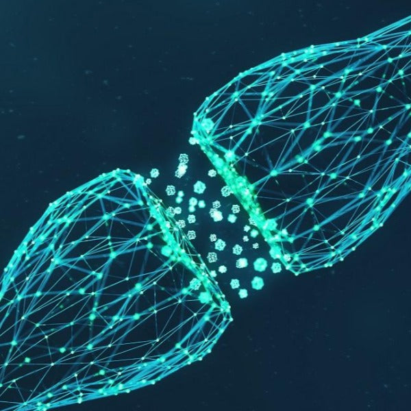 Neurotransmitters (NEU)