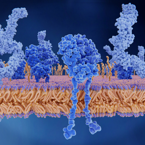 LWP Interleukin Receptor Test Kit