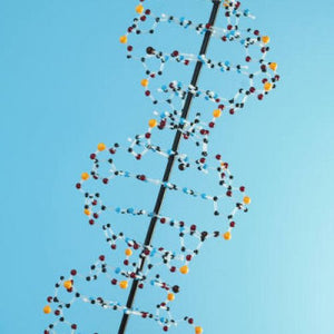 dna spiral