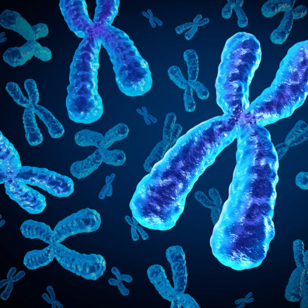 Human Genetic Material (GEN)