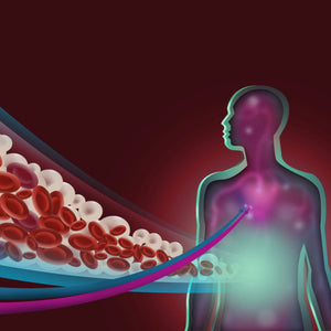 Exocrine System/Body Fluids (EXO)