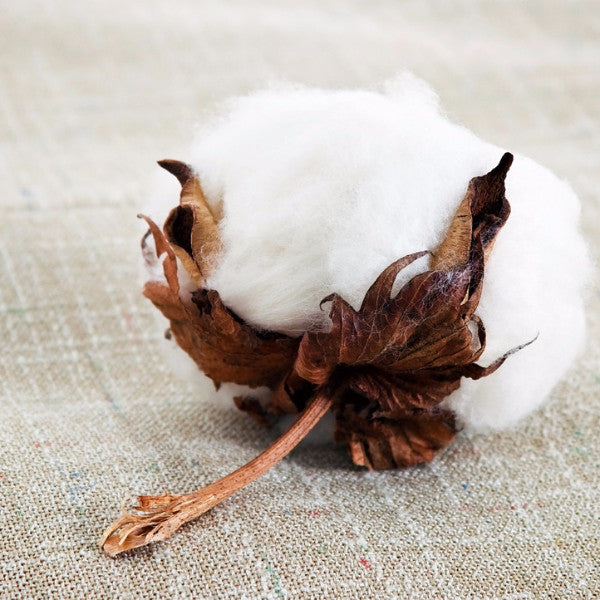 Fabric & Fiber Contactants (FAB)