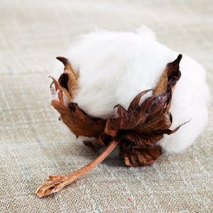 Fabric & Fiber Contactants (FAB)