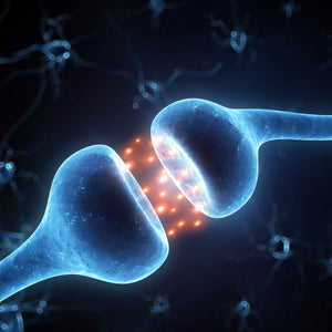 Hormone Receptor Sites (HRS)