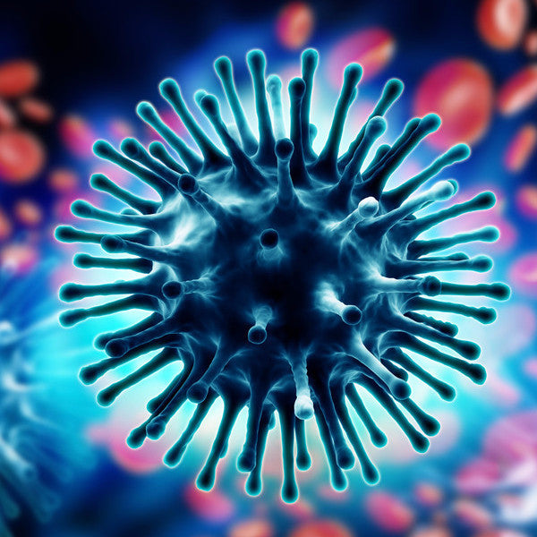Viruses - Influenza Viruses (VIF)