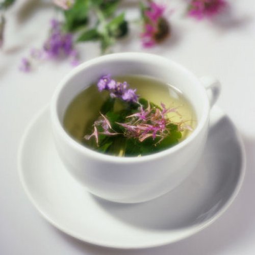 herbal tea