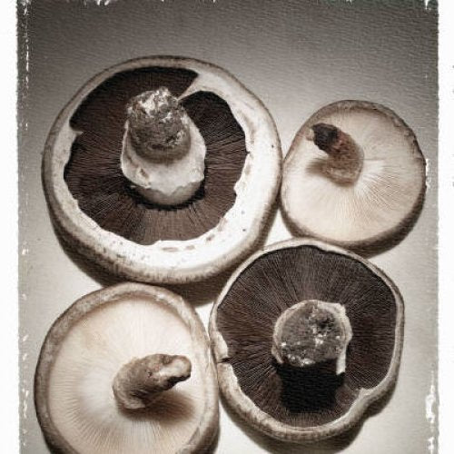 four mushrooms