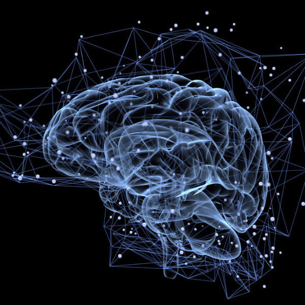 Neurotransmitter Excitotoxins (NEX)