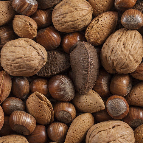 Muscle Testing Kit of Allergenic Proteins - Tree Nuts – Ergopathics